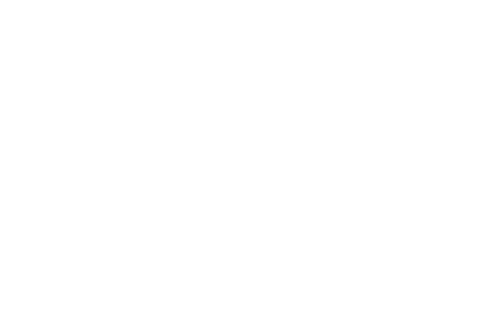 painnation.de